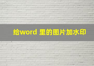 给word 里的图片加水印